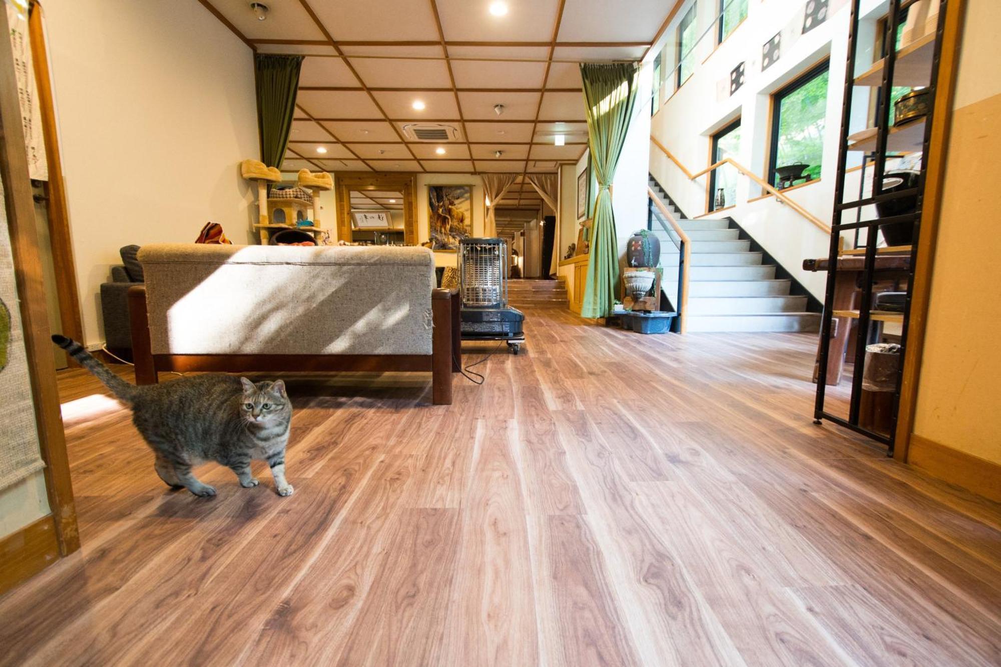 Akasawa Onsen Ryokan Nasushiobara Dış mekan fotoğraf